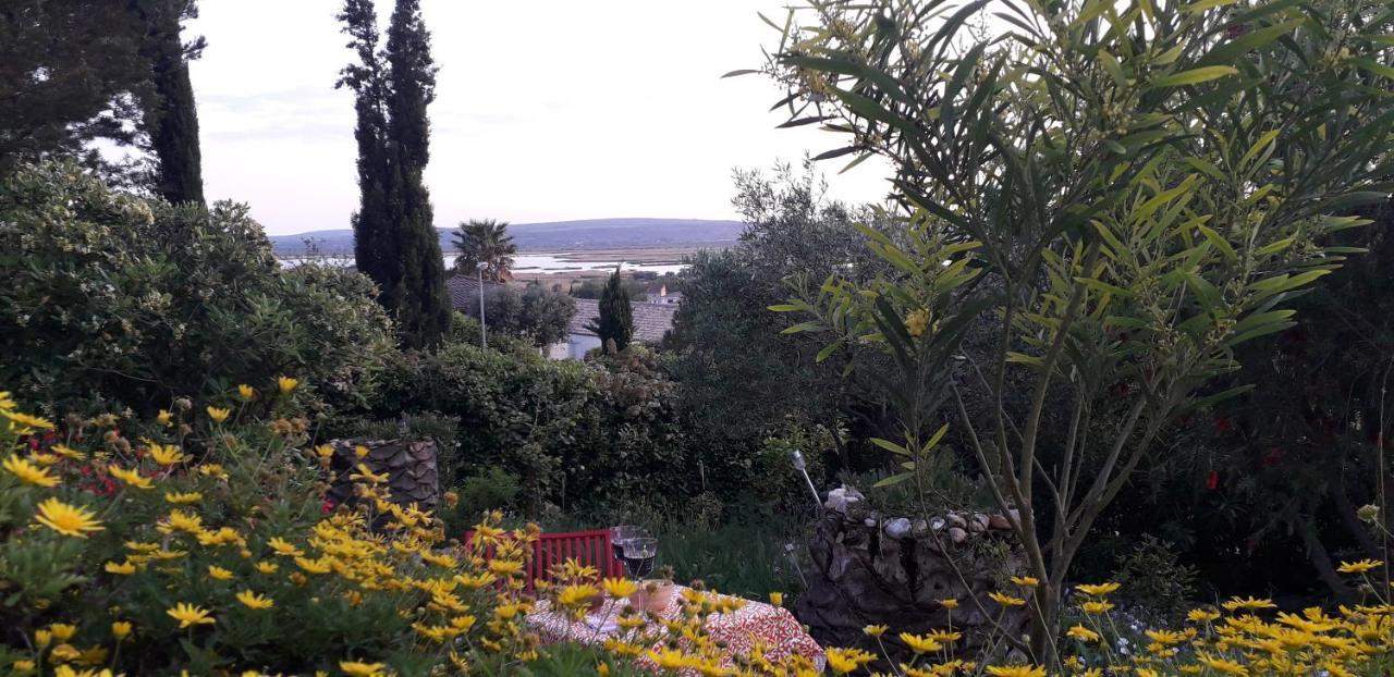 Appartement A 8 Km De La Mer - 3 Chambres Vendres Εξωτερικό φωτογραφία